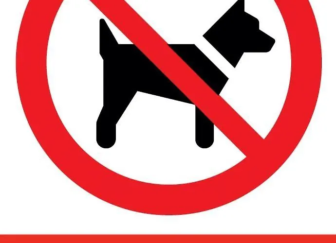 Sokolska 30 Towers - New- Lux- Parking- Sauna- Gym -and The View *